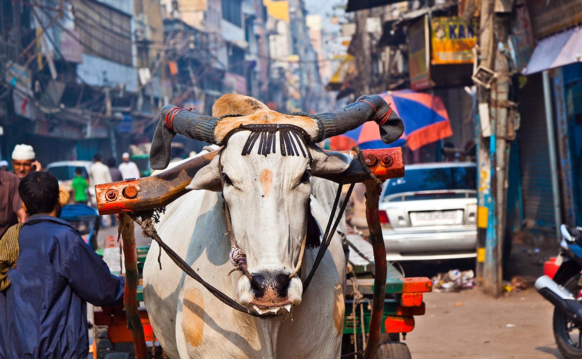 Clima en Delhi, India